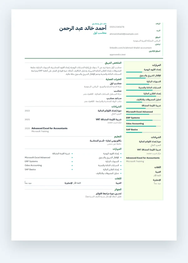 معاينة قالب مالية ومحاسبة - Finance Accountant
